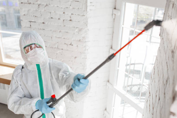 Best Biohazard Mold Removal  in Morrow, GA