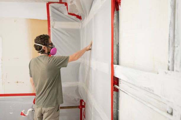 Best Mold Odor Removal Services  in Morrow, GA