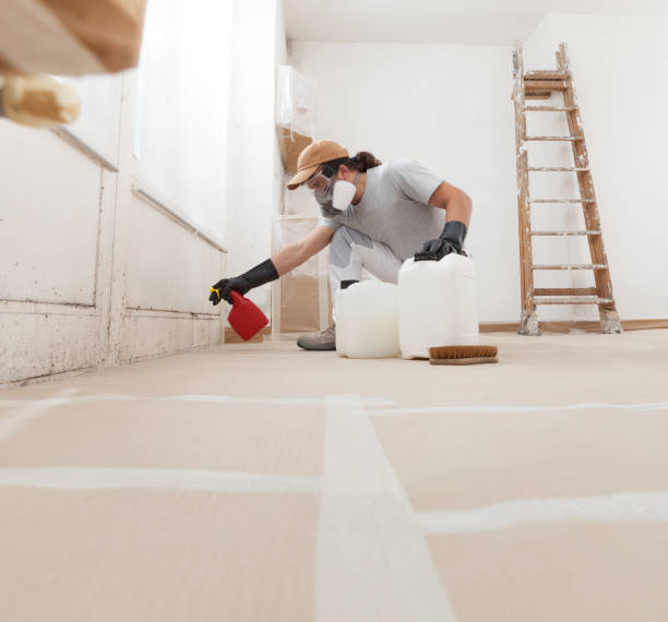 Best Mold Prevention Services  in Morrow, GA