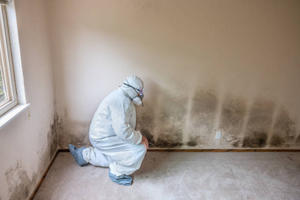 Best Residential Mold Inspection & Testing  in Morrow, GA