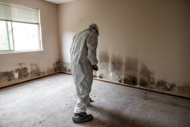 Best Emergency Mold Remediation  in Morrow, GA